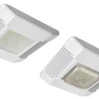 Cree White Canopy Light