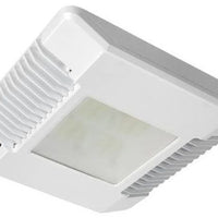 Cree White Canopy Light