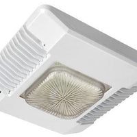 Cree White Canopy Light